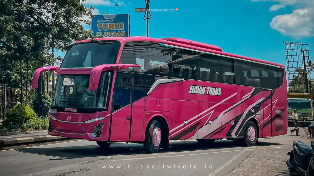 Bus